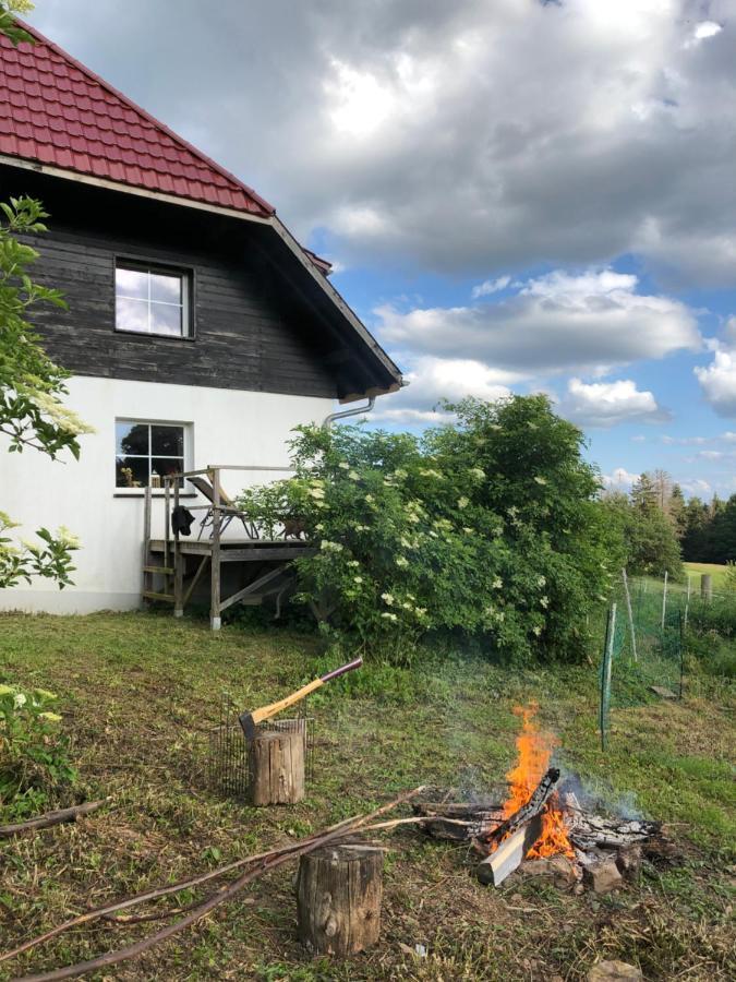 Pfaffensteghof Apartment Rickenbach  Exterior foto